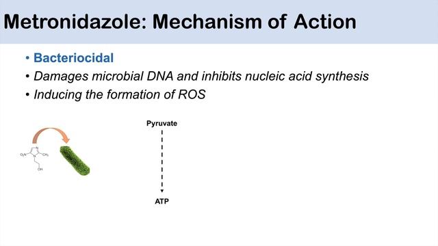 Metronidazole | Bacterial Targets, Mechanism Of Action, Adverse Effects