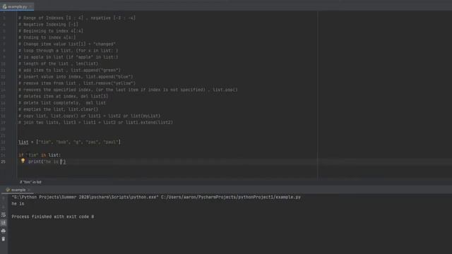 Python Basics - Complete Guide To Lists смотреть онлайн