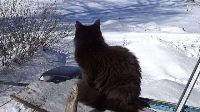 Весенняя мелодия. смотреть онлайн