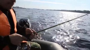 Рыбалка на реке Шексна в городе Череповец и острове Ваганиха, сентябрь 2020.