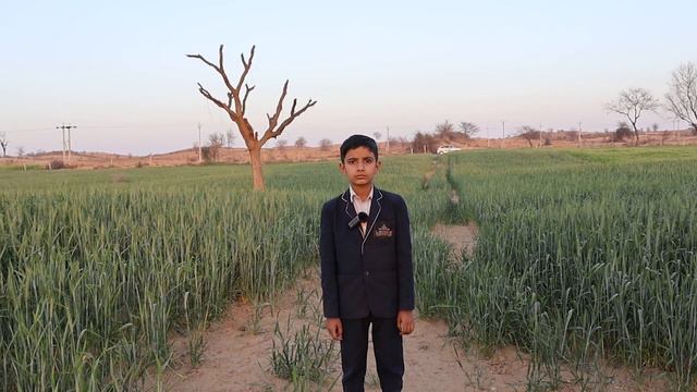 Canon R10 Video Test, Canon R10 Cinematic Video 4k, Canon R10 Video Quality