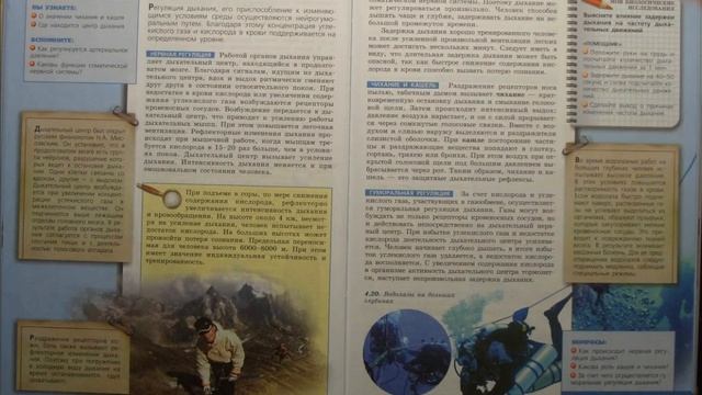 Биология (Л.Н.Сухорукова) 8к §30 Регуляция дыхания смотреть онлайн