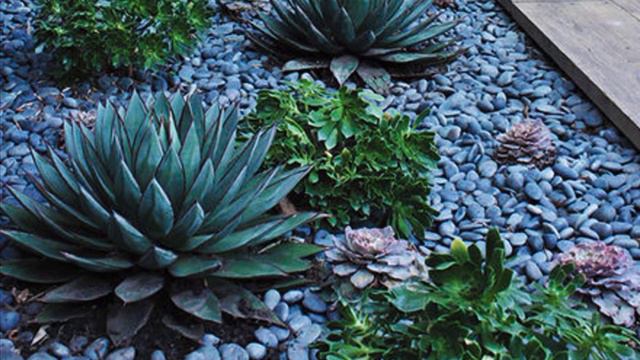 10 Outdoor Succulent Garden designs ideas смотреть онлайн