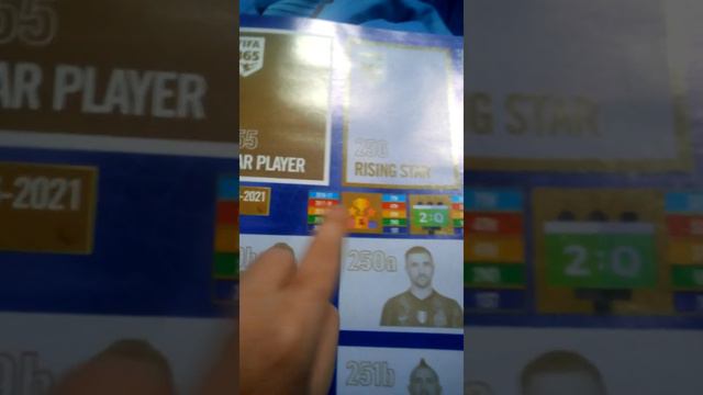 Альбом ЧМ 2022 🐱⚽⚽🏆 смотреть онлайн