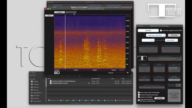New Cicadas Reducer смотреть онлайн