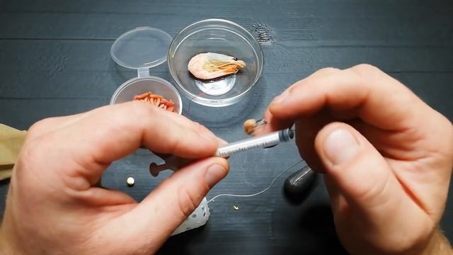 В ноябре карась клюет толка на это,Насадка на карася леща и карпа по холодной воде смотреть онлайн