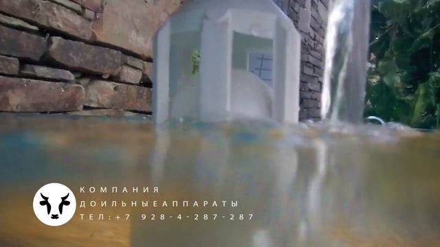 Клапан, предотвращающий попадание молока в двигатель. смотреть онлайн
