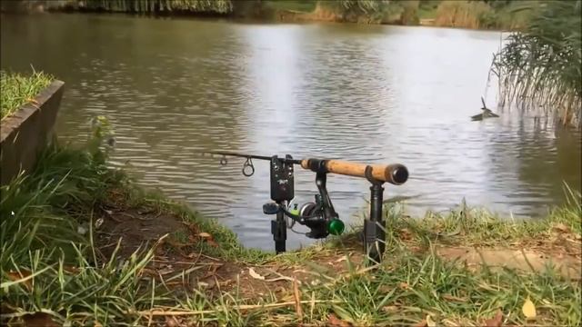 Неожиданная рыбалка! Красивые поклевки карпа! Мечта каждого рыбака bite carp!!! смотреть онлайн