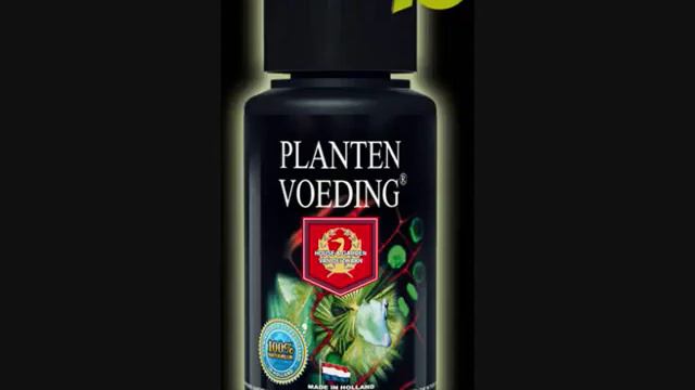 Tip 50 door Bloemsierkunst Rosa. Commercial House & Garden Plantenvoeding op Radio 10. смотреть онлайн