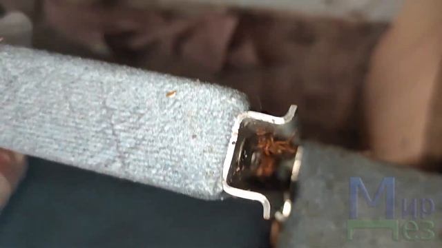 Клопы и тараканы живут вместе? МирДез смотреть онлайн