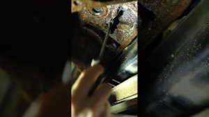 Зачем надо делать антикор? #shorts