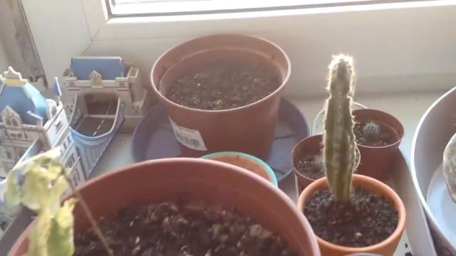 Сад и огород смотреть онлайн