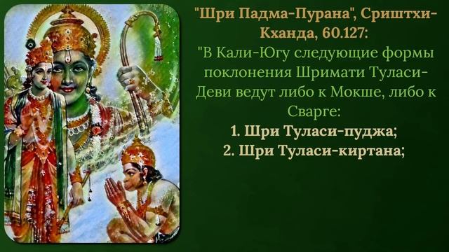 "Шри Туласи-Махатмья" [Падма-Пурана] - 02 - "Пять видов поклонения Шри Туласи" смотреть онлайн