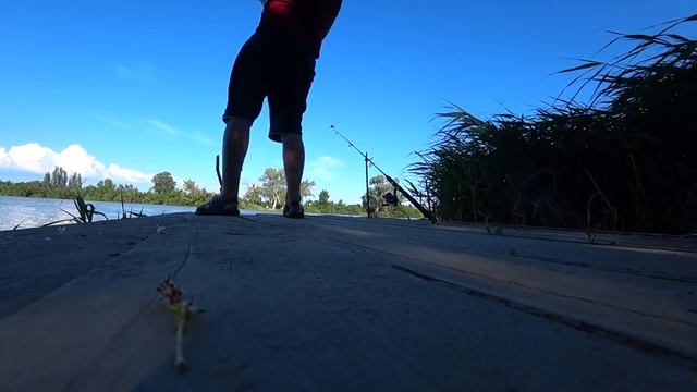 рыбалка краснодарский край рыбалка на кубани ловля карася рыбалка 2020 рыбалка в Темрюке река кубан смотреть онлайн