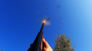 КЛАССИКА. Охота на утку с подхода 2022