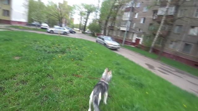 ПОКА МЕНЯ НЕ БЫЛО ОНИ НАД НИМ ИЗДЕВАЛИСЬ 😂 смотреть онлайн