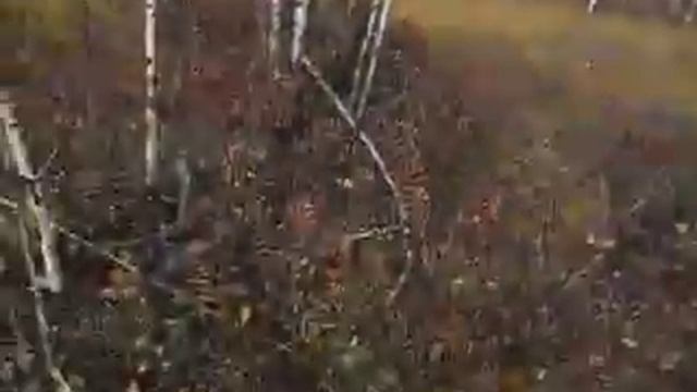 Гусеничный вездеход "СОЮЗ-1М". смотреть онлайн