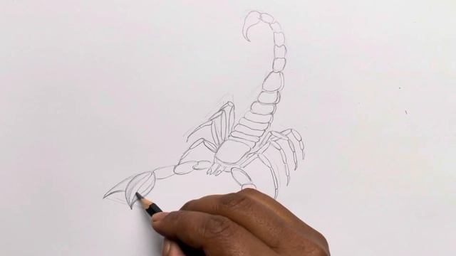 How to draw a scorpion step by step смотреть онлайн