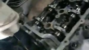 ВОРТЕКС ТИНГО МЕТКИ ГРМ