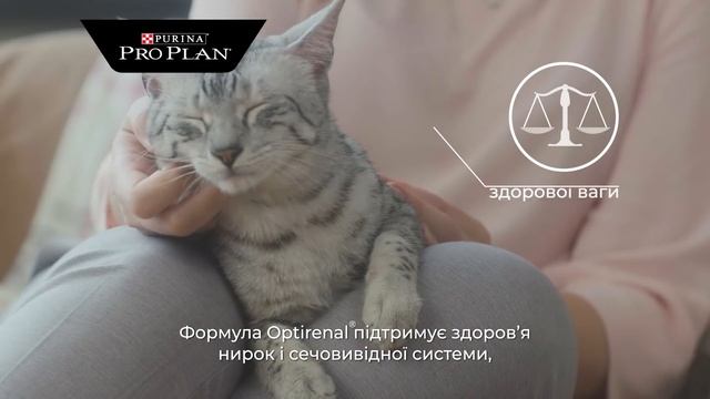 Pro Plan Cat Sterilised смотреть онлайн