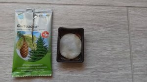 Проращивание семян горной сосны.