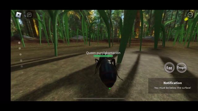 Ant life Roblox|||How to get protein fast смотреть онлайн