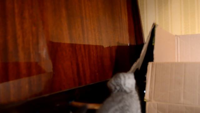 Жизнь Терри №9 Почти месяц) смотреть онлайн