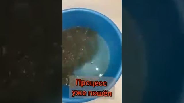 Гранулы для прочистки труб можно использовать ЕЩЁ И ТАК ??? смотреть онлайн
