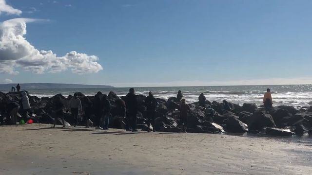 Сан Диего, Калифорния. Путешествие. Лучшие места. San Diego, part 1 смотреть онлайн