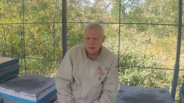 Почему матки не должны сеять в сентябре Пчеловодство смотреть онлайн