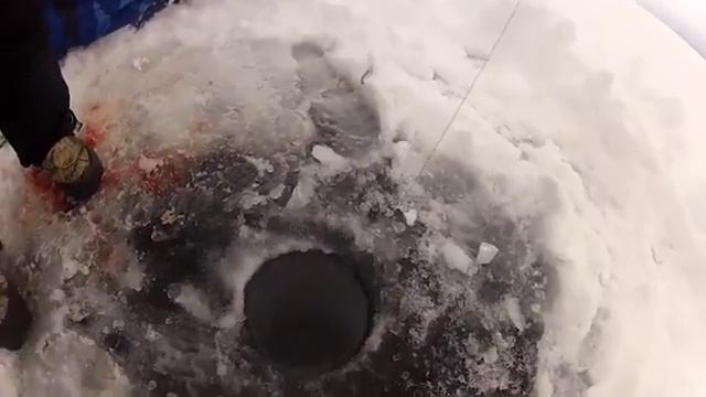 Вот это улов. смотреть онлайн