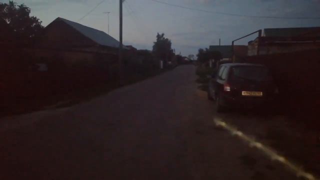 Мопсы всбисились жара кошки тоже смотрим до конца смотреть онлайн
