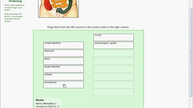 Biology E-learning content, Digestive System смотреть онлайн
