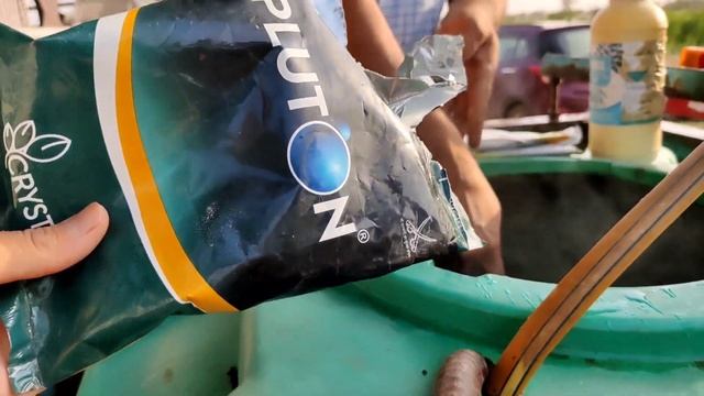 Fungicide And Insecticide Combination | Neem Oil Spray | Pluton Fungicide | Chelated Zinc 12%