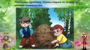 Видео - урок Тема Правила поведения в лесу