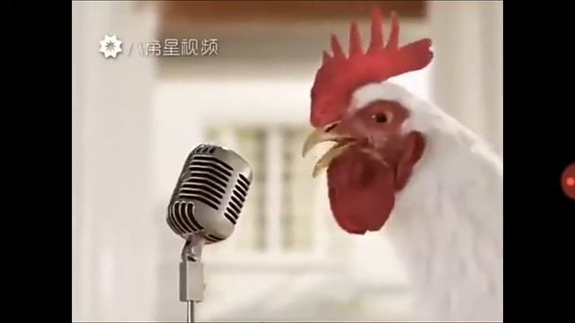 Музыка петушок смотреть онлайн