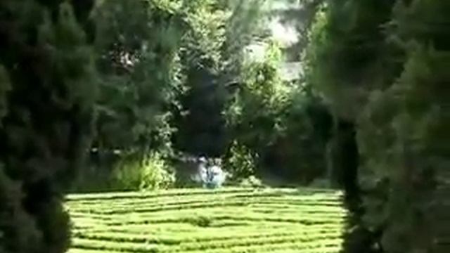 Vidéo du jardin Giusti à Vérone смотреть онлайн