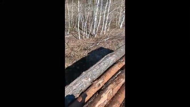 Почему мы любим траву? смотреть онлайн