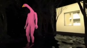 Розовый гусь смотрит в окно, хочет понять, почему так темно!?