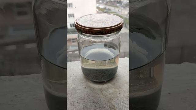 6.3 Растворитель и осадок смотреть онлайн