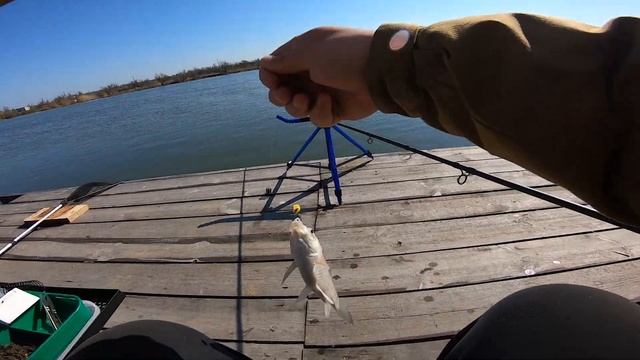 Рыбалка на Днестре в ЗАПРЕТ 22.04.2021! Наконец-то проснулся днестровский карась! Что с течением? смотреть онлайн