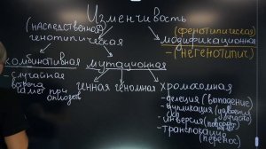 Изменчивость и ее виды. ЕГЭ 2022 по БИОЛОГИИ.