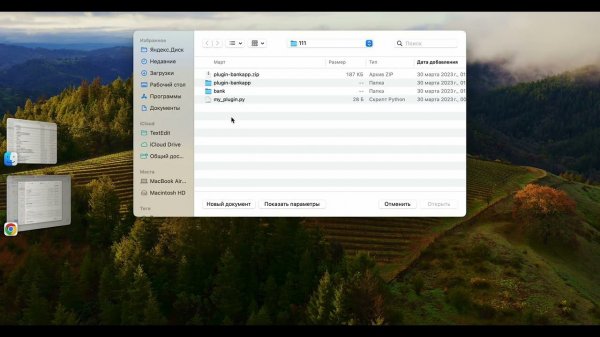 Плагин для Platrum: Интеграция с банками 2.0