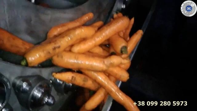 Щеточная мойка для овощей, корнеплодов, огурцов, моркови, картофеля смотреть онлайн