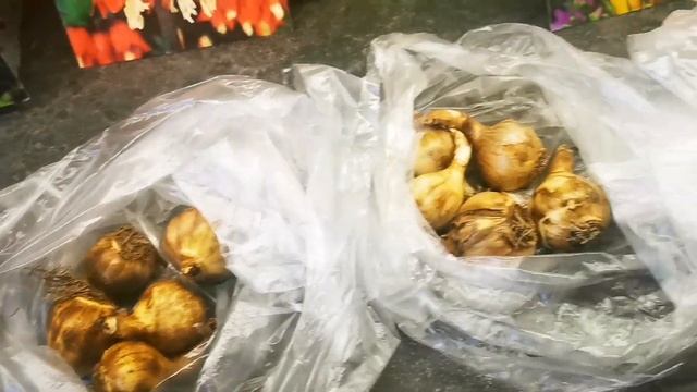 ?НАСИЧЕНИЙ ДОМАШНІЙ ВЛОГ|Покупки,смачні страви,порядок в кімнаті для гостей смотреть онлайн