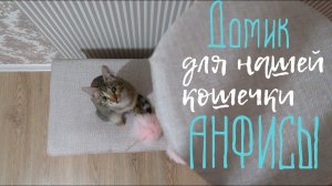 Vlog#135 DIY Домик для кошки своими руками!! Мы это сделали!