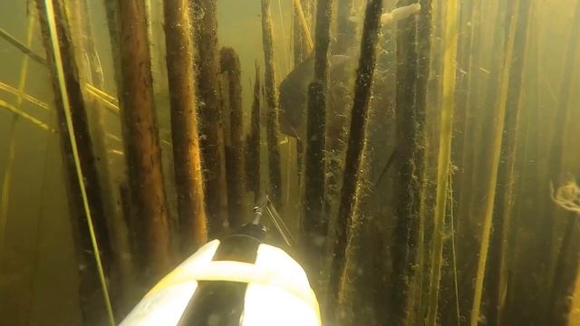 Открыли сезон ПО 2023! смотреть онлайн