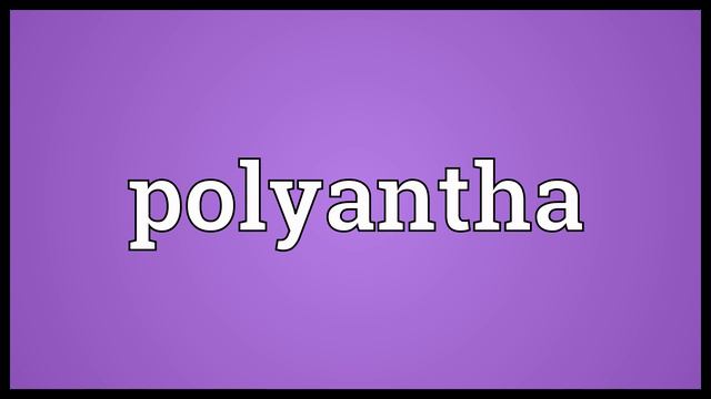 Polyantha Meaning смотреть онлайн