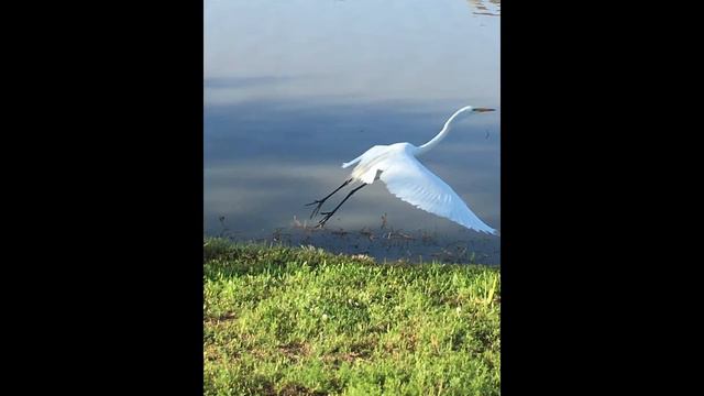 #coversongby#aidasudario# original by Jennifer Rush! for a special group/ PrayerBattalion7! смотреть онлайн