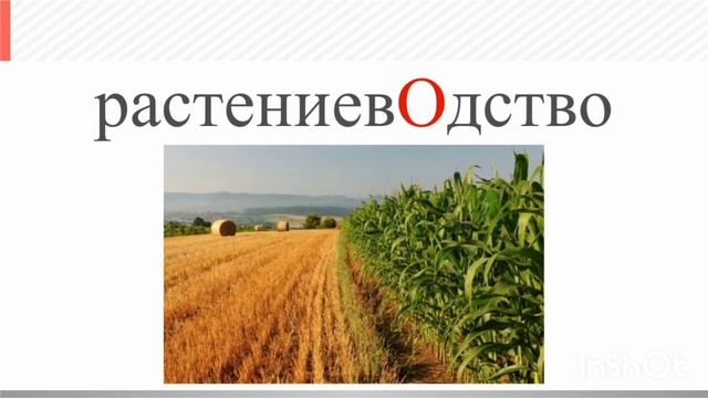 Кислухина М., Растениеводство смотреть онлайн